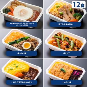 ANA国際線 機内食 TBSショッピング限定特別セット / 12食 【TBSショッピング】