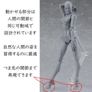 デッサン人形 モデル人形 デッサンドール 素体...の詳細画像3