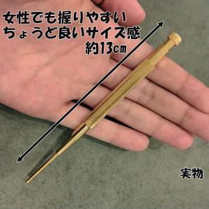 フェイスポインター バネ式 ノック式 スティッ...の詳細画像2