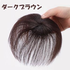 部分ウィッグ 頭頂部 ヘアピース かつら 薄毛 白髪隠し