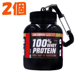 2個 ディーエヌエス  プロテイン ホエイ100 プレミアムチョコレート風味 プロテインホエイ100| DNS公式オンラインショップ