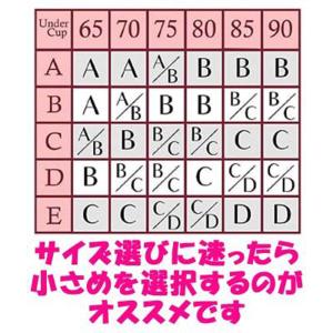 ヌーブラ シリコンブラ 激盛り Aカップ Bカ...の詳細画像3