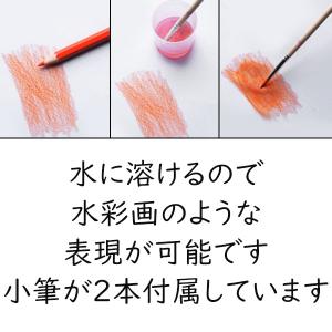 水彩色鉛筆 48色 色鉛筆 セット 塗り絵 水...の詳細画像1