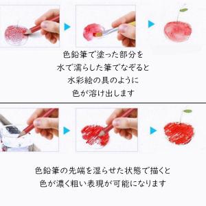 水彩色鉛筆 48色 色鉛筆 セット 塗り絵 水...の詳細画像5