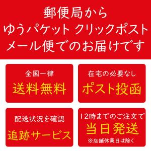 スケボー バッグ ケース 袋 収納 スケートボードの詳細画像5