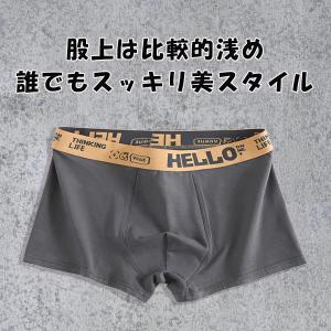 ボクサーパンツ メンズ 下着 ローライズ ボク...の詳細画像5
