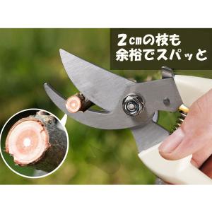 剪定ばさみ はさみ ガーデニング バネ 園芸 ...の詳細画像1