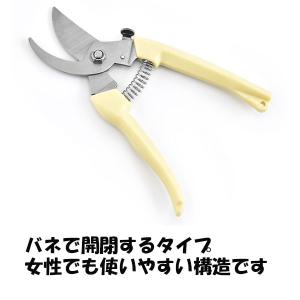 剪定ばさみ はさみ ガーデニング バネ 園芸 ...の詳細画像2