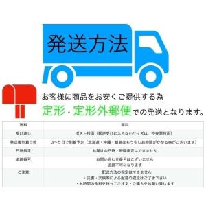 【アウトレット品】ボストン 伊達メガネ (レン...の詳細画像5
