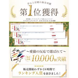 【獣医師が監修】 猫じゃらし ねこじゃらし 猫...の詳細画像2