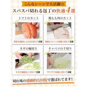 【雑誌掲載モデル】 包丁研ぎ器 包丁砥ぎ機 包...の詳細画像5