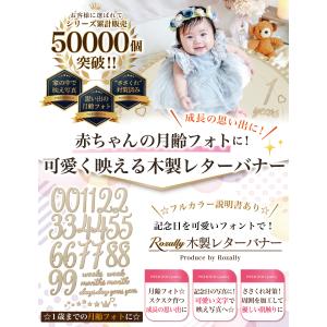 【保育士が監修】 月齢フォト レターバナー 木...の詳細画像3