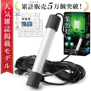 【雑誌掲載モデル】 集魚灯 水中集魚灯 LED 防水 集魚ライト 水中灯 集魚 光 投光器 釣り 海釣り 堤防釣り 船釣り 夜釣り アジ イカ 青 緑 青緑 USB給電式
