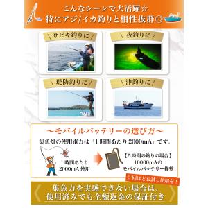 【雑誌掲載モデル】 集魚灯 水中集魚灯 LED...の詳細画像3