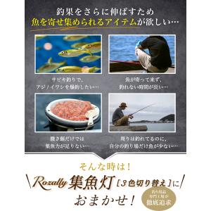 【雑誌掲載モデル】 集魚灯 水中集魚灯 LED...の詳細画像4