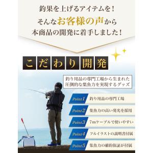 【雑誌掲載モデル】 集魚灯 水中集魚灯 LED...の詳細画像5