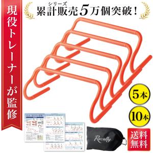 【現役トレーナーが監修】 ミニハードル ハードル アジリティ フットワーク トレーニング アジリティー 敏捷性 陸上 サッカー バスケ テニス 野球 10本セット