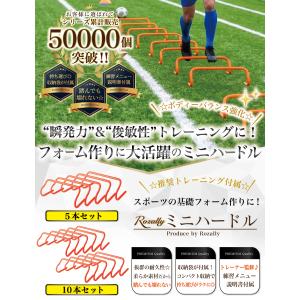 【現役トレーナーが監修】 ミニハードル ハード...の詳細画像2