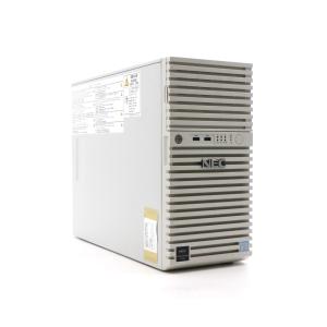 NEC Express5800/T110i Xeon E3-1220 v6 3GHz 4GB 500GBx2台(SATA3.5インチ/RAID1構成) DVD-ROM｜tce-direct