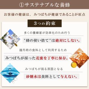 マヌカハニー&プロポリス ギフトGセット [M...の詳細画像2