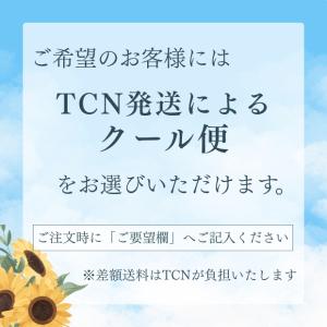 マヌカハニー MGO1050+ [500g] ...の詳細画像1