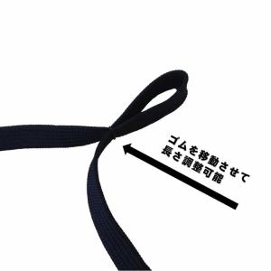 カプセルケース付 プルームテック プラス ウィ...の詳細画像3