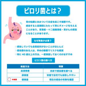 大腸がん検査キット+ピロリ菌検査キット 大腸が...の詳細画像2