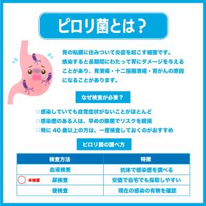 ピロリ菌検査キット 尿検査 抗体検査 胃がん ...の詳細画像1