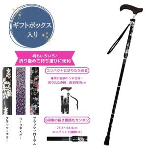 フランスベッド光る杖『ライトケイン』 リハテックLC-01,LC-02,LC-03