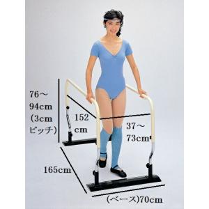 ミニ平行棒 ささえ愛 TY500 リハビリ 平行棒 医療 看護 クリニック