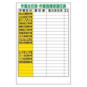 ユニット 317-47A 作業主任者・作業指揮者選任表