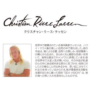 2027年 壁掛けカレンダー クリスチャン・リ...の詳細画像4