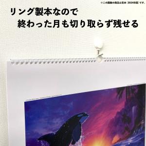 2027年 壁掛けカレンダー クリスチャン・リ...の詳細画像5