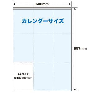 2026年 カレンダー 壁掛け 3色スーパー・...の詳細画像3