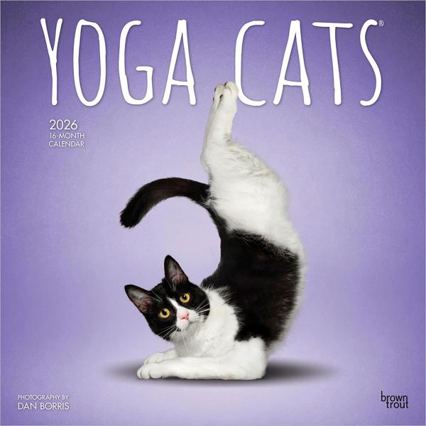 【輸入版】2026年 ヨガ・キャット 壁掛けカレンダー / ブラウントラウト (Yoga Cats ...