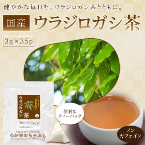 ウラジロガシ茶 (3g×35p) | わが家の...の詳細画像1