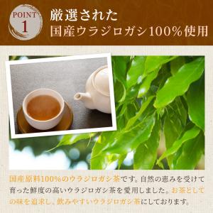 ウラジロガシ茶 (3g×35p) | わが家の...の詳細画像4