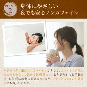 ウラジロガシ茶 (3g×35p) | わが家の...の詳細画像5