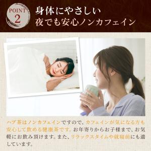 ハブ茶 5g×85P 送料無料 はぶ茶 決明子...の詳細画像5