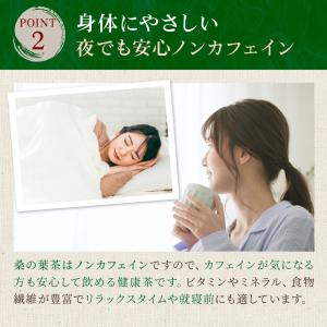 国産 桑の葉 ティーバッグ (3g×50p)×...の詳細画像5