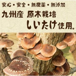 九州産 われ葉 乾しいたけ 40g×2袋セット...の詳細画像2