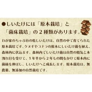 九州産 われ葉 乾しいたけ 40g×2袋セット...の詳細画像3