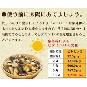 九州産 われ葉 乾しいたけ 40g×2袋セット...の詳細画像5