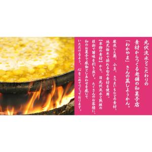 わかやま 蒸し ようかん 4種類 5個セット ...の詳細画像2