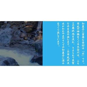 わかやま 蒸し ようかん 4種類 5個セット ...の詳細画像4