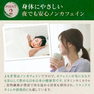 国産 よもぎ茶 3g×40P 送料無料 よもぎ...の詳細画像5