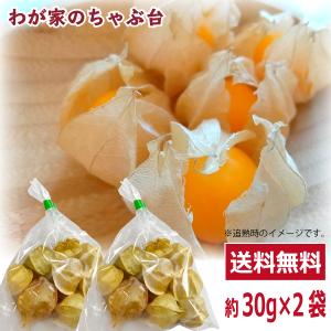 【販売終了】　　　　国産 食用ほおずき 30g×2袋 お試しセット 送料無料 キャンディーランタン ほおずき ホオズキ 鬼灯 スーパーフード フルーツ ジャム 野菜