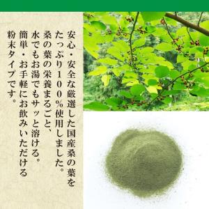国産 桑の葉 パウダー 130g 〜 送料無料...の詳細画像2
