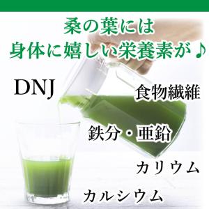 国産 桑の葉 パウダー 130g 〜 送料無料...の詳細画像4