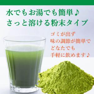 送料無料 国産 桑の葉 パウダー 500g 〜...の詳細画像3